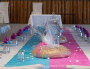 baby shower party rentals