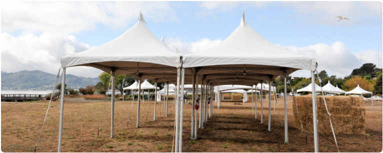 Canopy Tent rentals mississauga